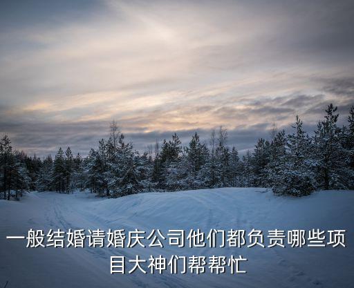 婚慶公司包含哪些項目，一般結(jié)婚請婚慶公司他們都負(fù)責(zé)哪些項目大神們幫幫忙