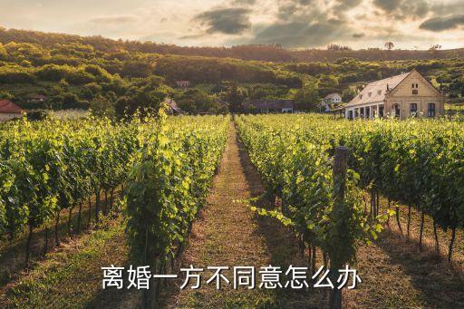 夫妻想離婚一方不同意怎么辦，請(qǐng)問(wèn)我想離婚可一方不同意該怎么辦