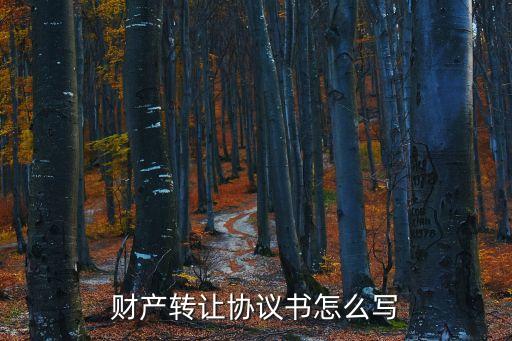 財產(chǎn)轉(zhuǎn)讓協(xié)議書怎么寫