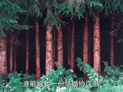 婚禮合同模板，誰能給我一份結(jié)婚協(xié)議書