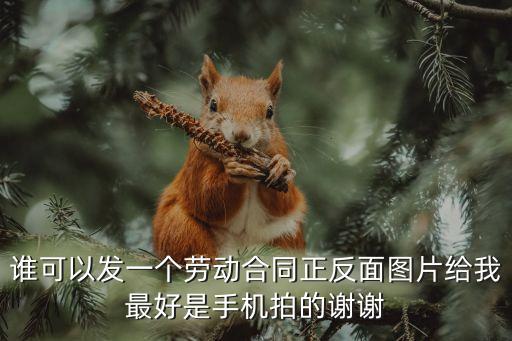 誰可以發(fā)一個勞動合同正反面圖片給我最好是手機拍的謝謝
