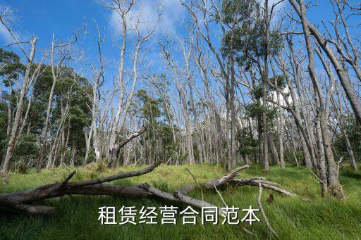 租賃合同模板下載，租賃協(xié)議范本