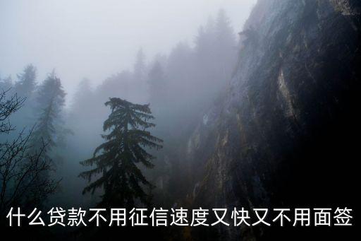 什么貸款不用征信速度又快又不用面簽