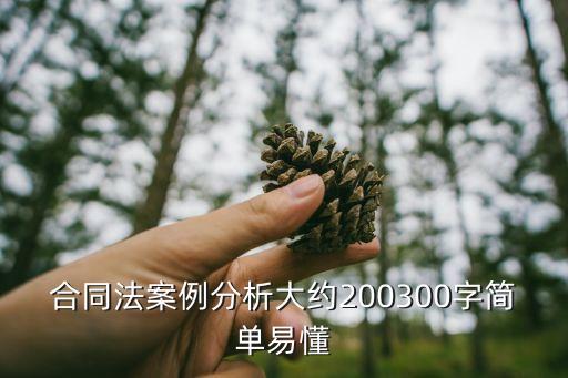 合同法案例分析大約200300字簡(jiǎn)單易懂