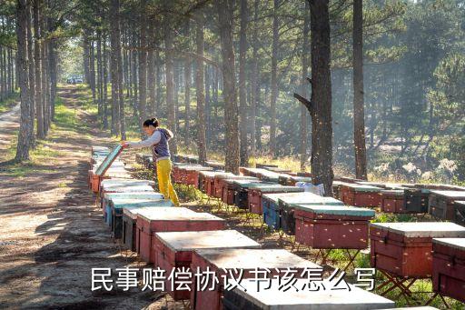 民事協(xié)議書，民事糾紛和解協(xié)議書怎么寫
