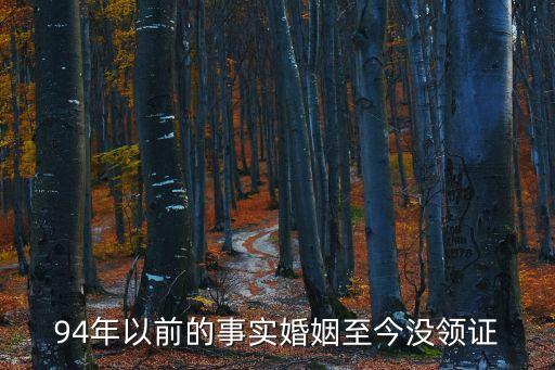 94年以前的事實(shí)婚姻至今沒領(lǐng)證