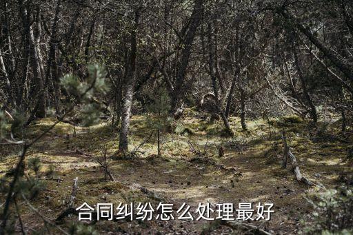 合同糾紛怎么處理最好
