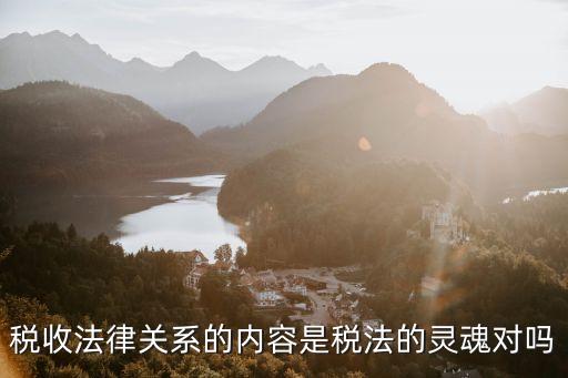 稅收法律關系的三要素，稅收法律關系的內容是稅法的靈魂對嗎