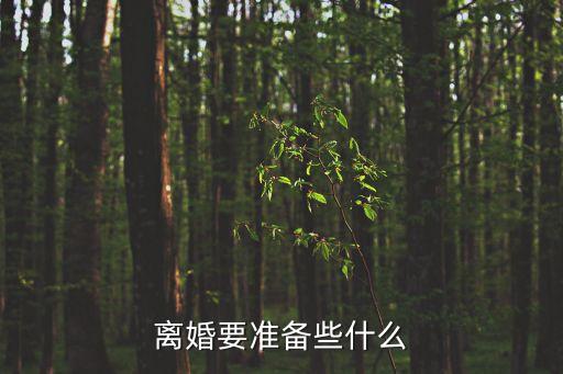 離婚要準(zhǔn)備些什么