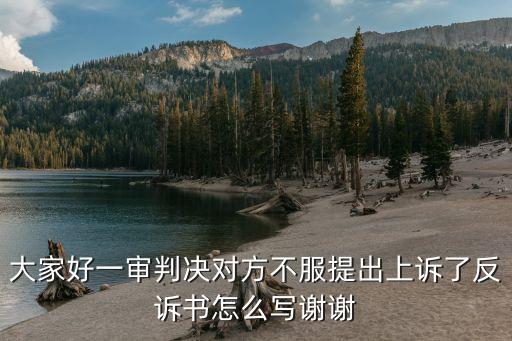 勞動爭議一審不服上訴狀范文，大家好一審判決對方不服提出上訴了反訴書怎么寫謝謝