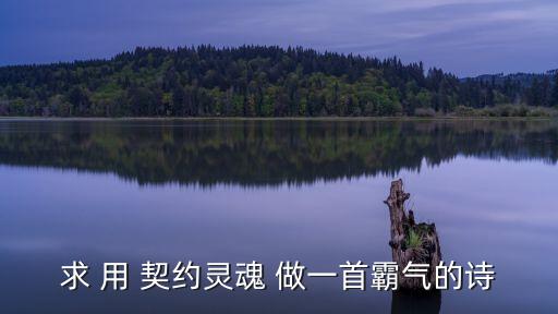 求 用 契約靈魂 做一首霸氣的詩(shī)