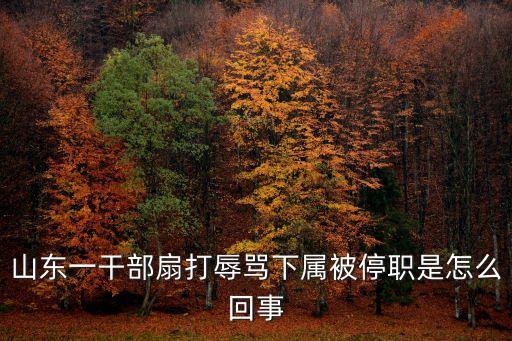 扇打辱罵下屬官員已被停職，罵協(xié)警推搡協(xié)警的那個官人停職了沒