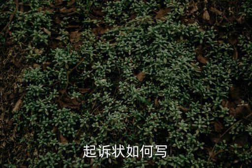 起訴狀如何寫