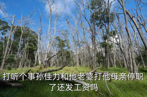 扇下屬耳光 停職，打聽個(gè)事孫佳力和他老婆打他母親停職了還發(fā)工資嗎