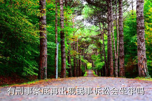 有刑事案底再出現(xiàn)民事訴訟會坐牢嗎