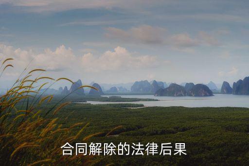 合同解除的法律后果