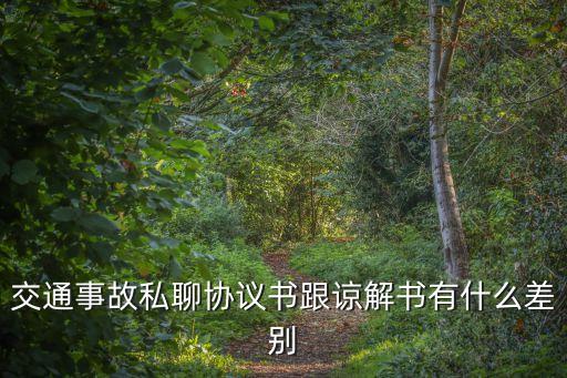 民事和解協(xié)議書(shū)和諒解書(shū)的區(qū)別，民事賠償刑事諒解協(xié)議書(shū)什么意思