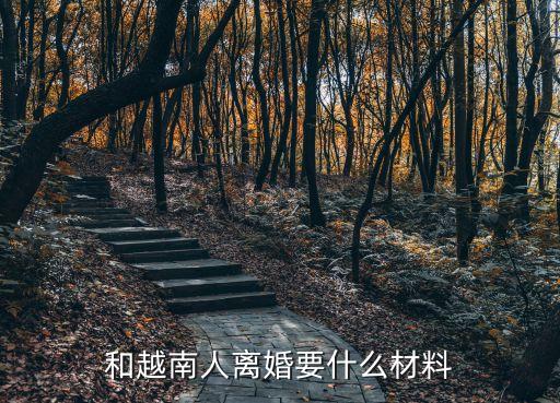 和越南人離婚要什么材料