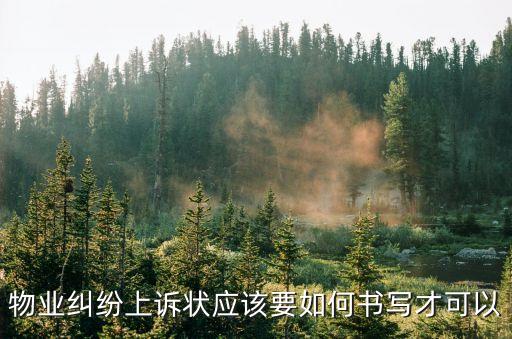 起訴物業(yè)公司訴狀模板，公司失竊告物業(yè)管理公司起訴狀