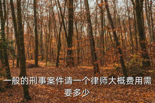 一般的刑事案件請(qǐng)一個(gè)律師大概費(fèi)用需要多少