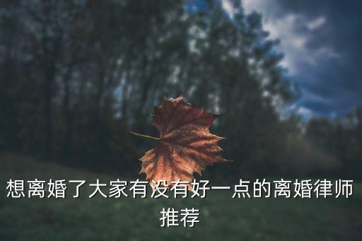 想離婚了大家有沒有好一點(diǎn)的離婚律師推薦