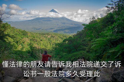 懂法律的朋友請(qǐng)告訴我相法院遞交了訴訟書一般法院多久受理此