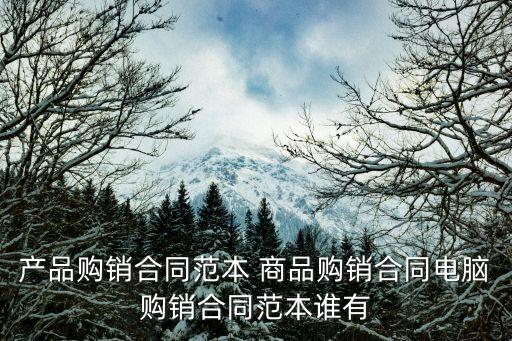 購銷合同電子版本，現(xiàn)在的購房合同是電子版還是紙質(zhì)版