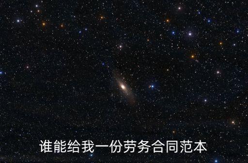 2020勞動合同模板電子版，誰能給我一份勞務(wù)合同范本