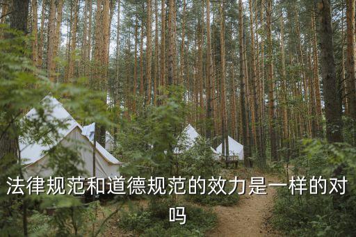 法律效力和效應(yīng)是一樣嗎，法律效率和法律效應(yīng)有什么不同