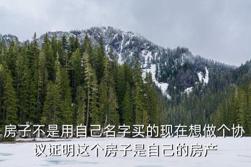 房子不是用自己名字買的現(xiàn)在想做個協(xié)議證明這個房子是自己的房產(chǎn)