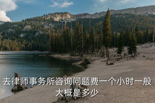 上海律師收費(fèi)標(biāo)準(zhǔn)2022年，上海律師幫忙要多少錢(qián)