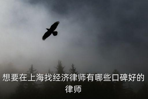 想要在上海找經(jīng)濟律師有哪些口碑好的律師