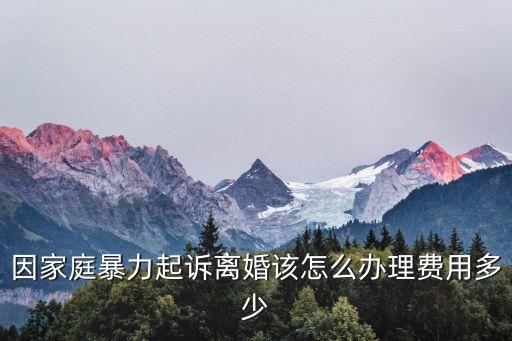因家暴起訴離婚流程和費(fèi)用標(biāo)準(zhǔn)，因家庭暴力起訴離婚該怎么辦理費(fèi)用多少