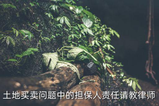 土地買賣問題中的擔(dān)保人責(zé)任請教律師