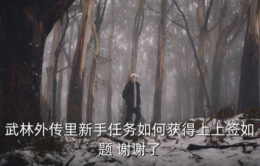 武林外傳里新手任務(wù)如何獲得上上簽如題 謝謝了