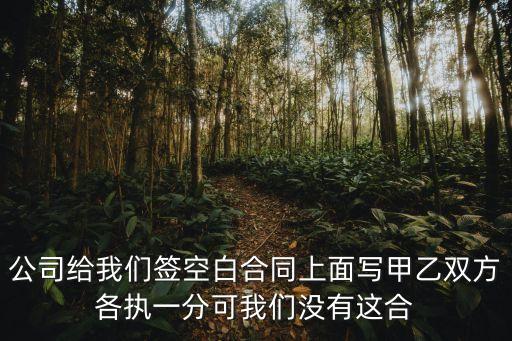 空白的合伙協(xié)議書是否有效，合同中間空白處自己加的約定有效嗎
