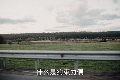 什么是約束力偶