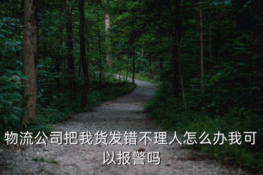 物流公司把我貨發(fā)錯(cuò)不理人怎么辦我可以報(bào)警嗎