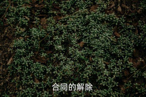 合同法解除合同，關(guān)于合同解除