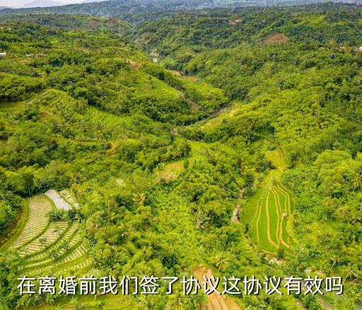 在離婚前我們簽了協(xié)議這協(xié)議有效嗎