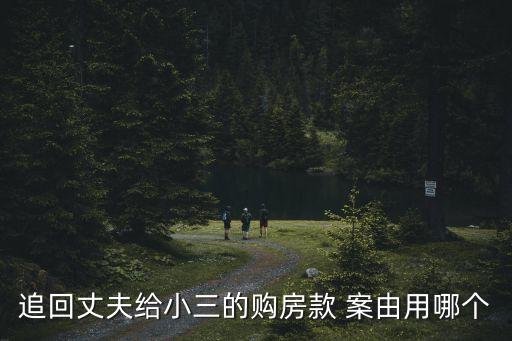 追回丈夫給小三的購(gòu)房款 案由用哪個(gè)
