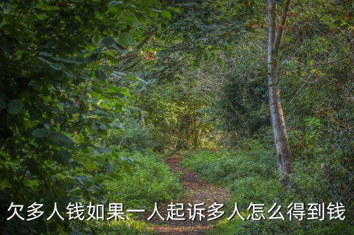 欠多人錢如果一人起訴多人怎么得到錢