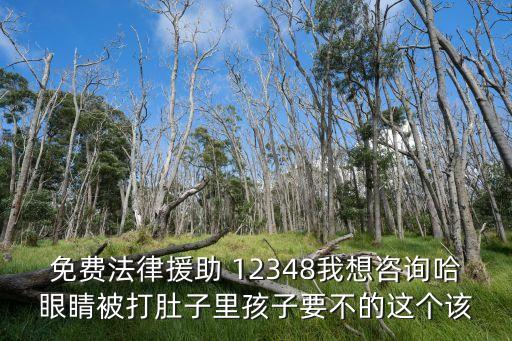 免費法律援助 12348我想咨詢哈眼睛被打肚子里孩子要不的這個該