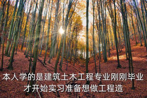 本人學的是建筑土木工程專業(yè)剛剛畢業(yè)才開始實習準備想做工程造