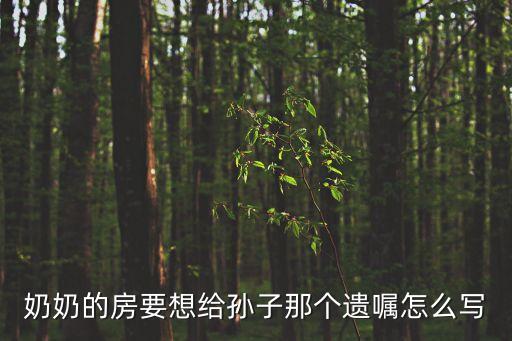 奶奶的房要想給孫子那個遺囑怎么寫