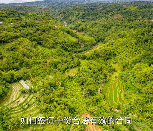 合同法合同簽訂，合同法中合同訂立的程序有哪些