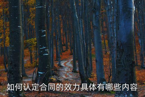 如何認定合同的效力具體有哪些內(nèi)容