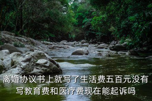離婚協(xié)議書上就寫了生活費五百元沒有寫教育費和醫(yī)療費現(xiàn)在能起訴嗎