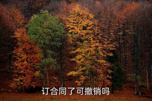訂合同了可撤銷嗎