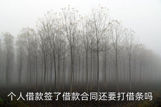 個人借款簽了借款合同還要打借條嗎